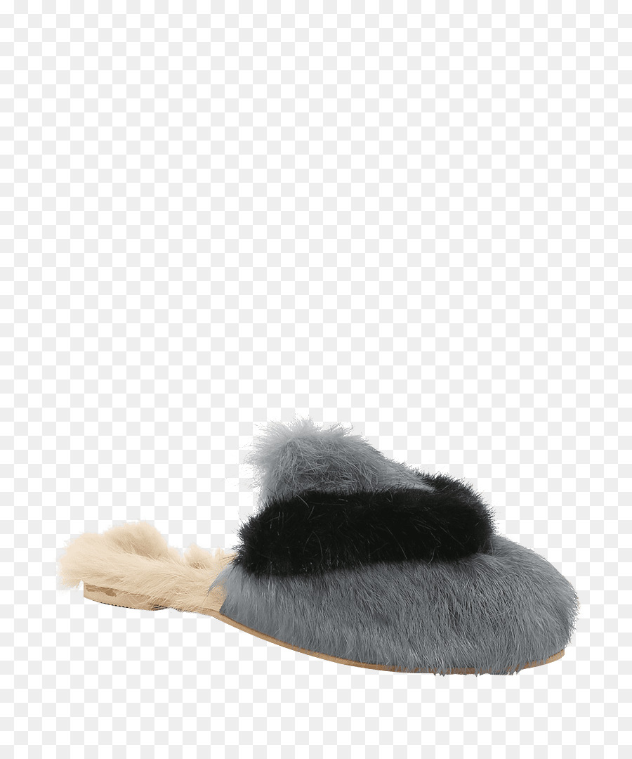 Zapatilla，Zapato PNG