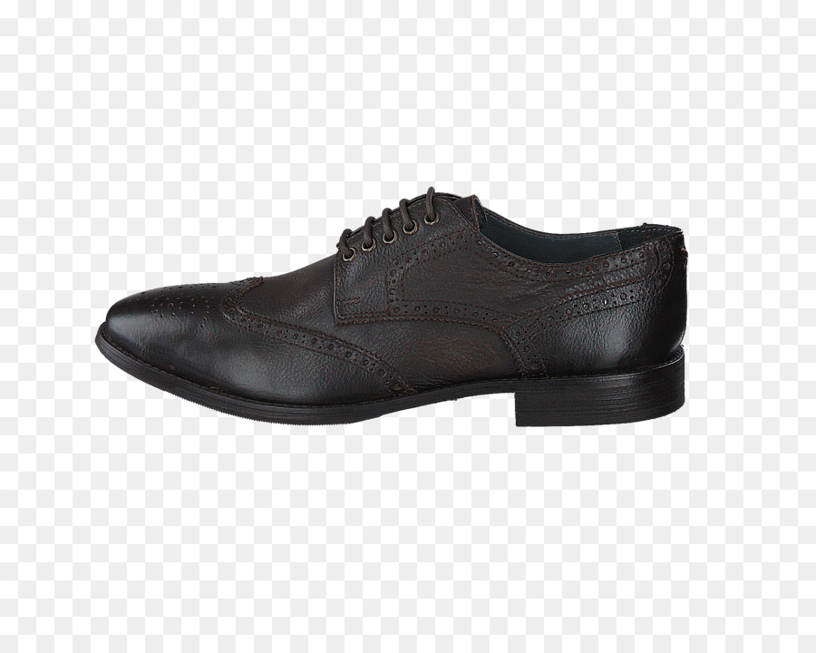 Zapato，Ecco PNG