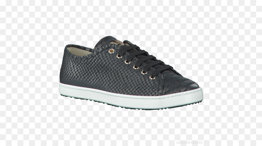 Zapatillas De Deporte De，Zapato PNG