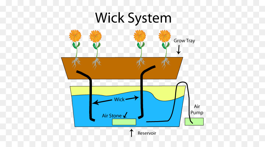 Hidroponia，Técnica De Película De Nutrientes PNG