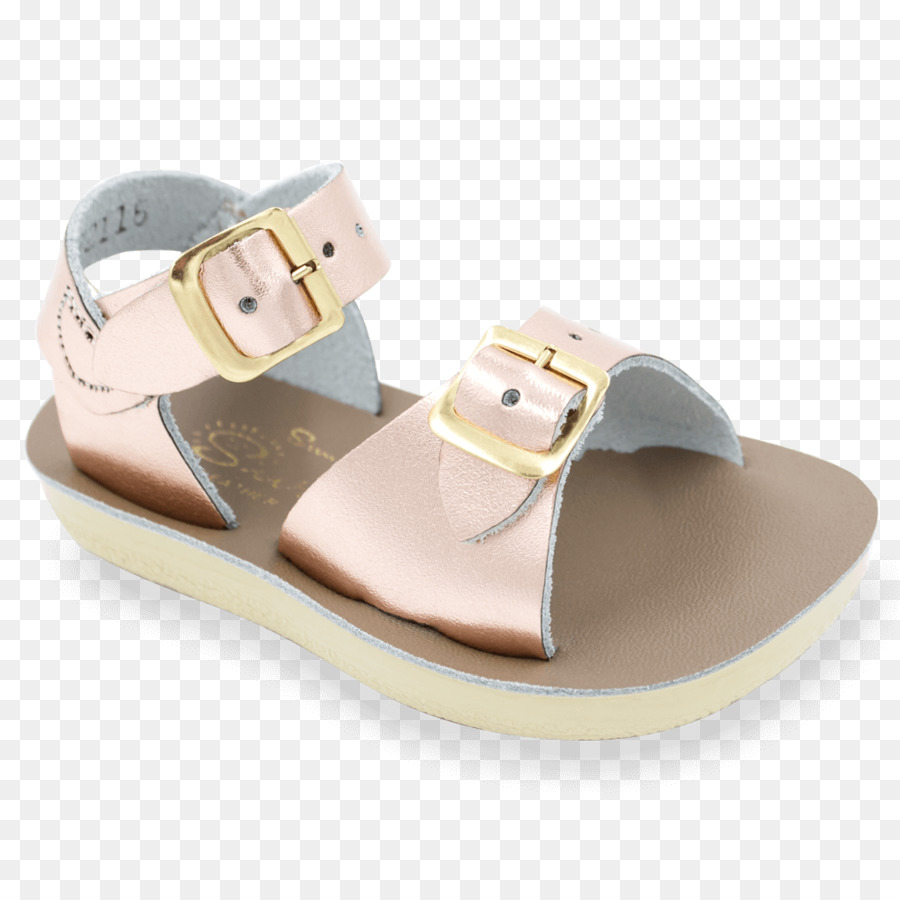 Sandalias De Agua Salada，Sandalia PNG