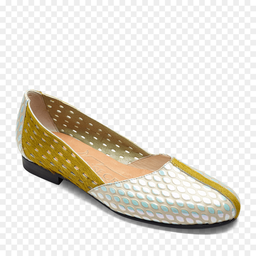 El Ballet Plana，Zapato PNG