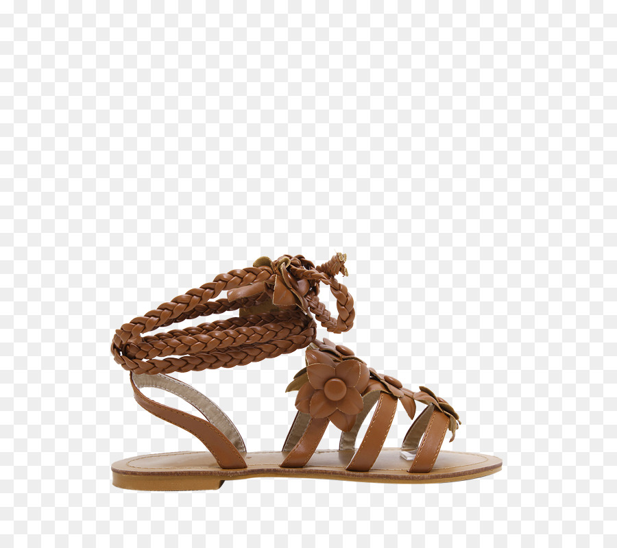 Zapatilla，Sandalia PNG