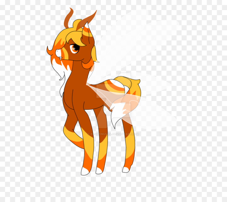 Gato，Caballo PNG