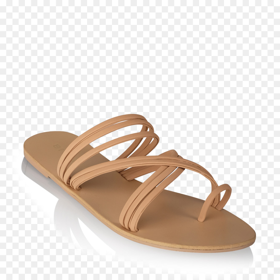 Chancletas，Zapato PNG