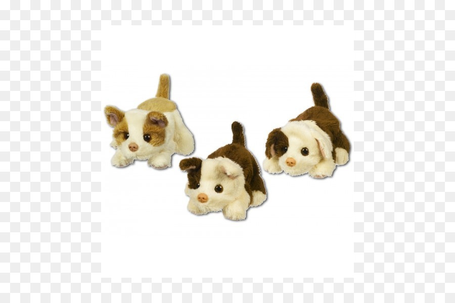 Cachorro，Perro PNG