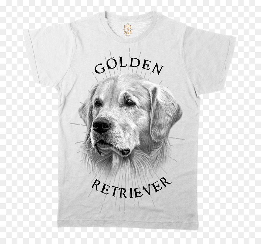 Labrador Retriever，Camiseta PNG