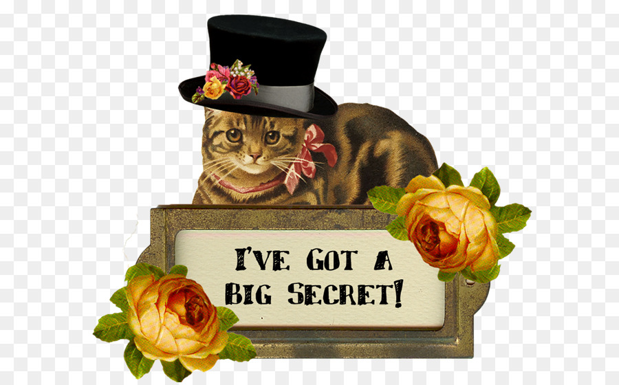 Gato，Era Victoriana PNG