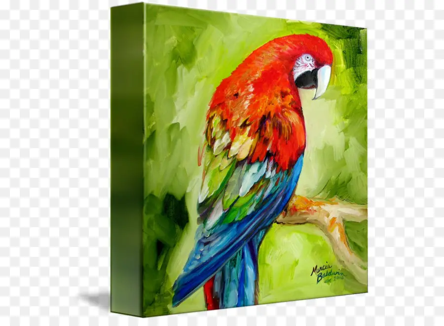 Pintura De Loros，Loro PNG