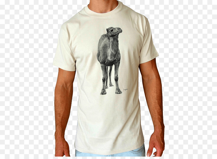 Camiseta，Manga PNG