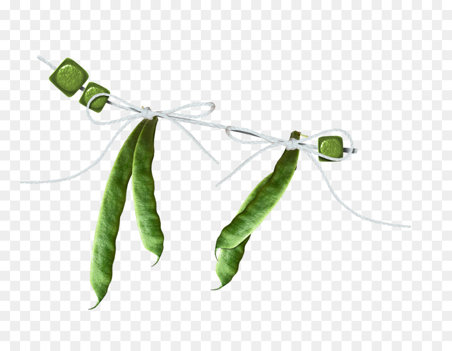 Hoja，Planta PNG