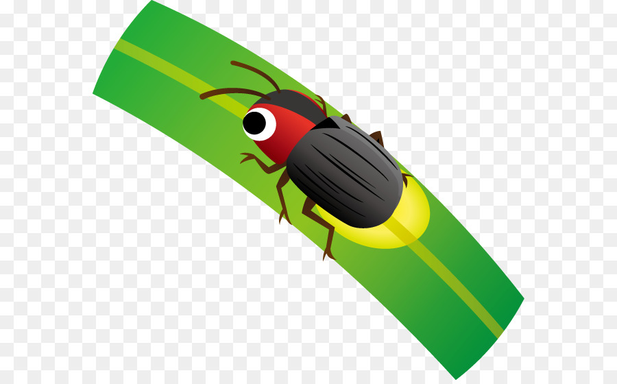 Insecto，Luciérnaga PNG