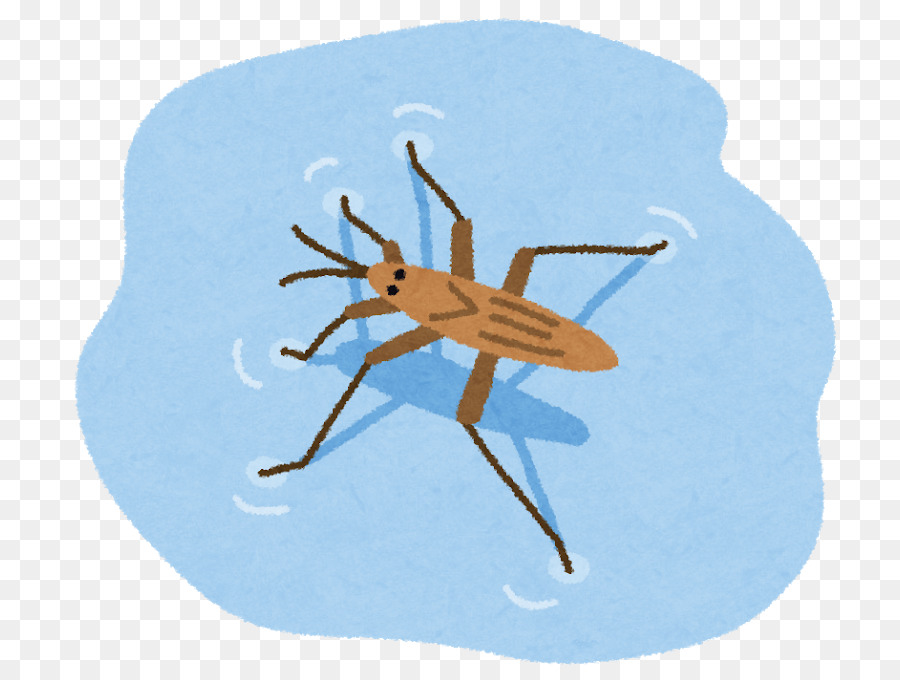 Zancudo De Agua，Bicho PNG