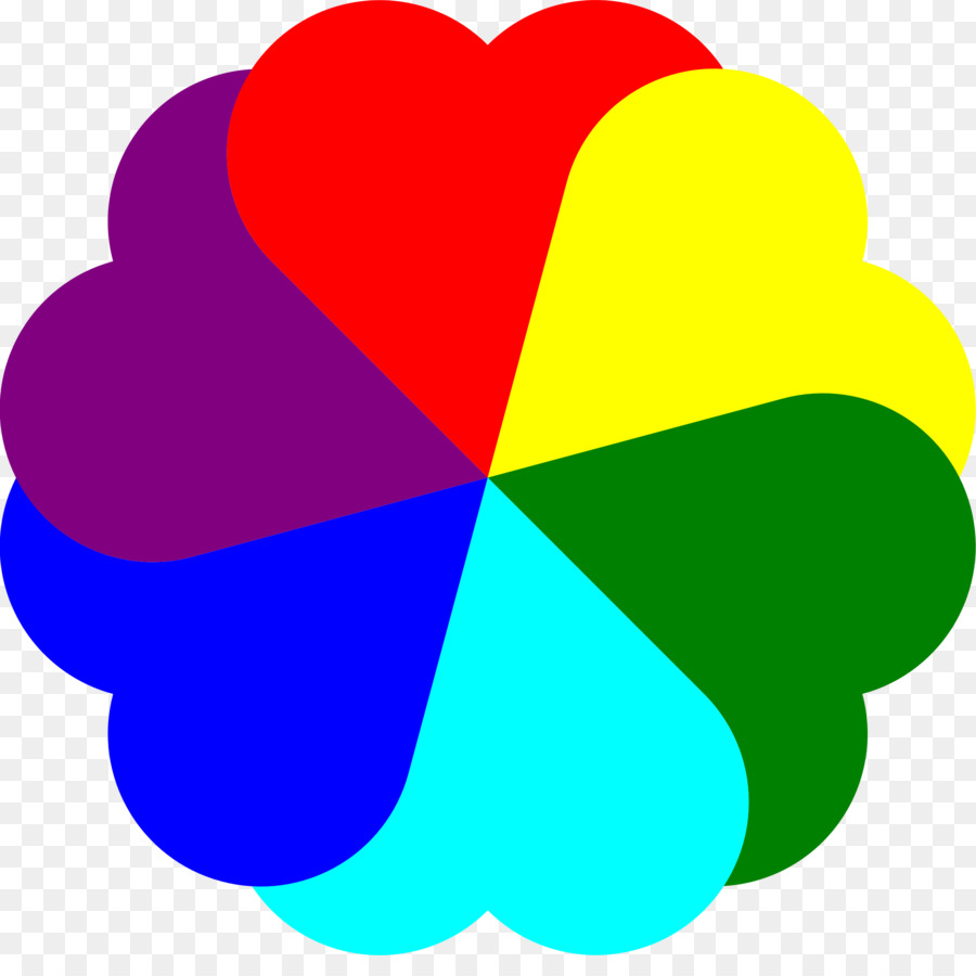 Color，Libro De Colorear PNG