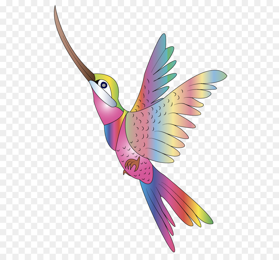 Colibrí，Pájaro PNG