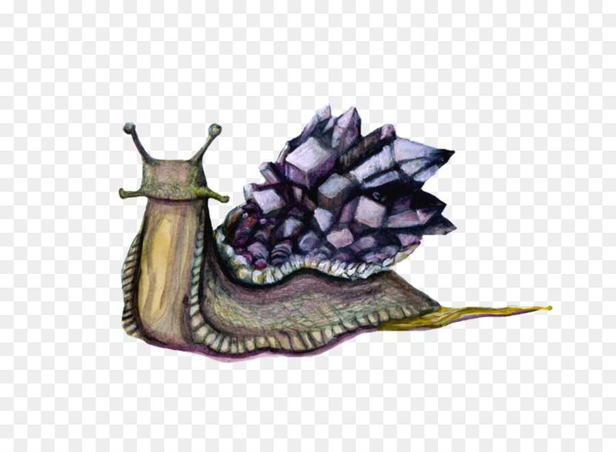 Caracol，Morado PNG