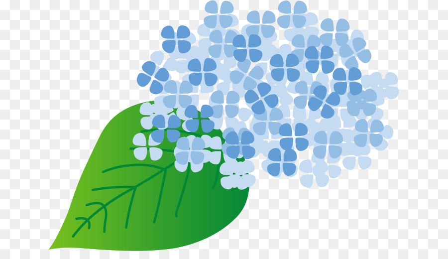 Hortensia Francesa，Temporada De Lluvias Del Este De Asia PNG