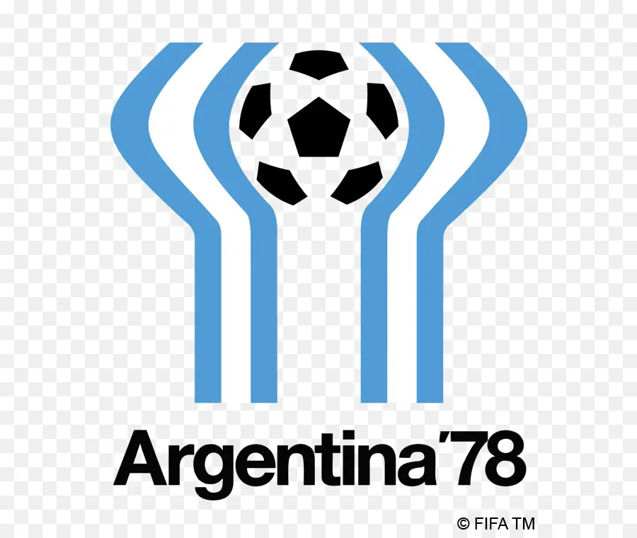 1978 Copa Mundial De La Fifa，Copa Del Mundo Fifa 2010 PNG