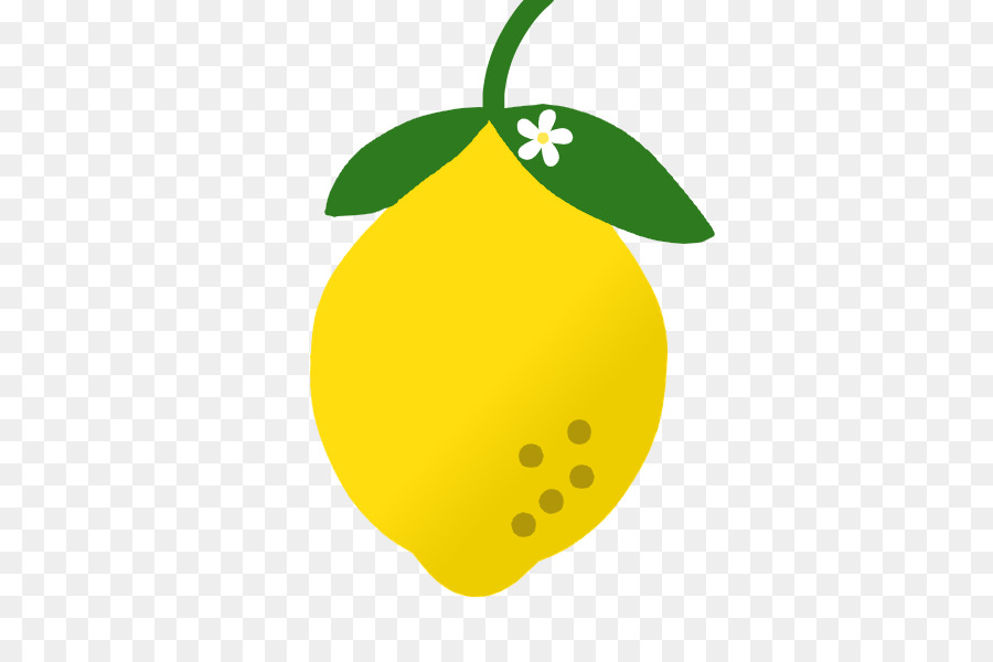 Limón，Rutaceae PNG