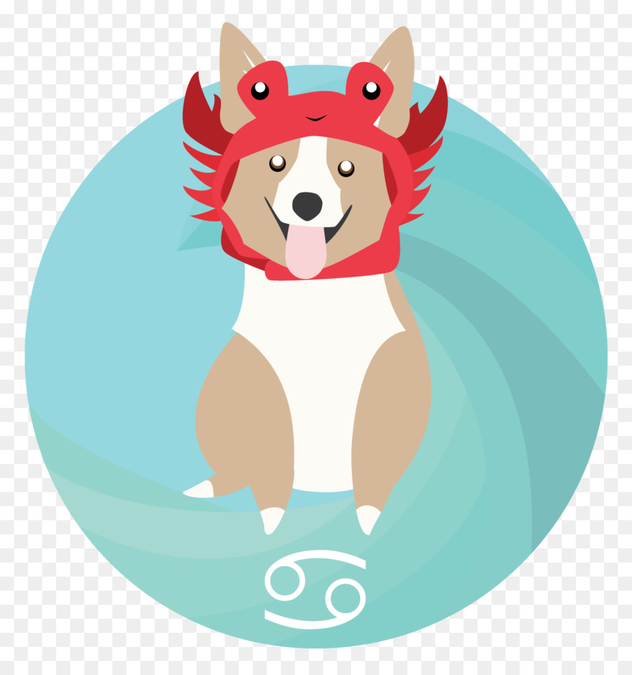 Cachorro，Perro PNG