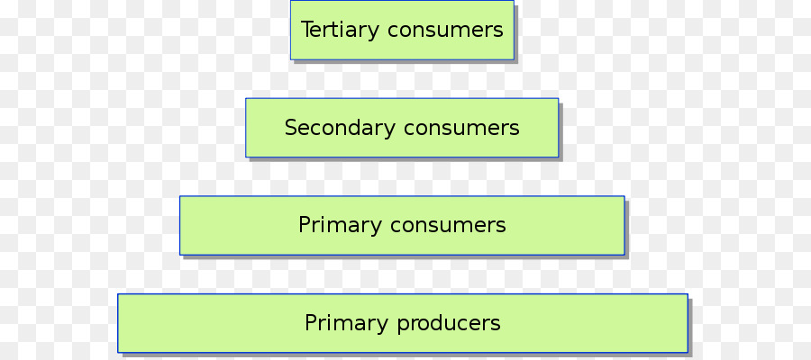 Ecológica De La Pirámide，Nivel Trófico PNG