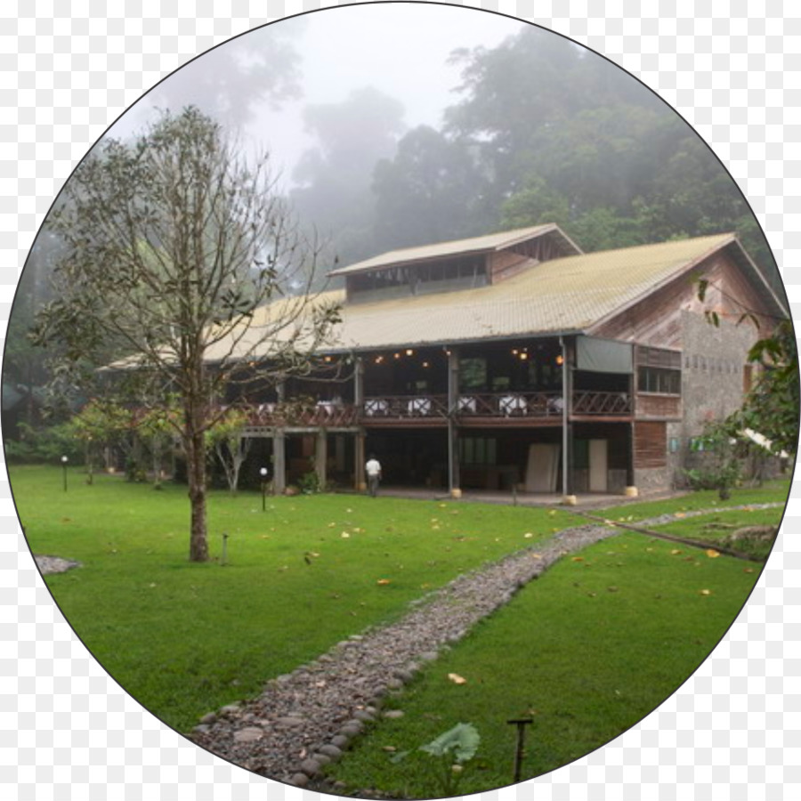 Borneo Rainforest Lodge，La Selva PNG