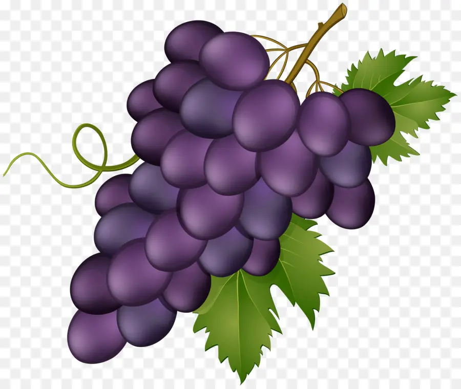 Uva，Vino PNG