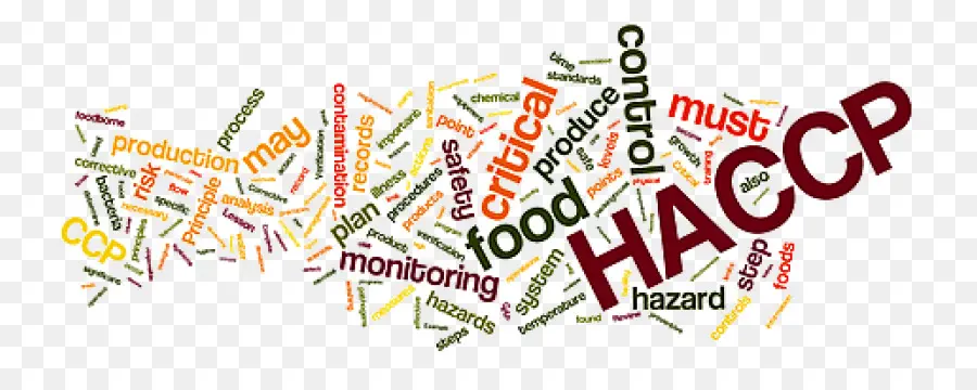 Nube De Palabras Haccp，Seguridad Alimentaria PNG