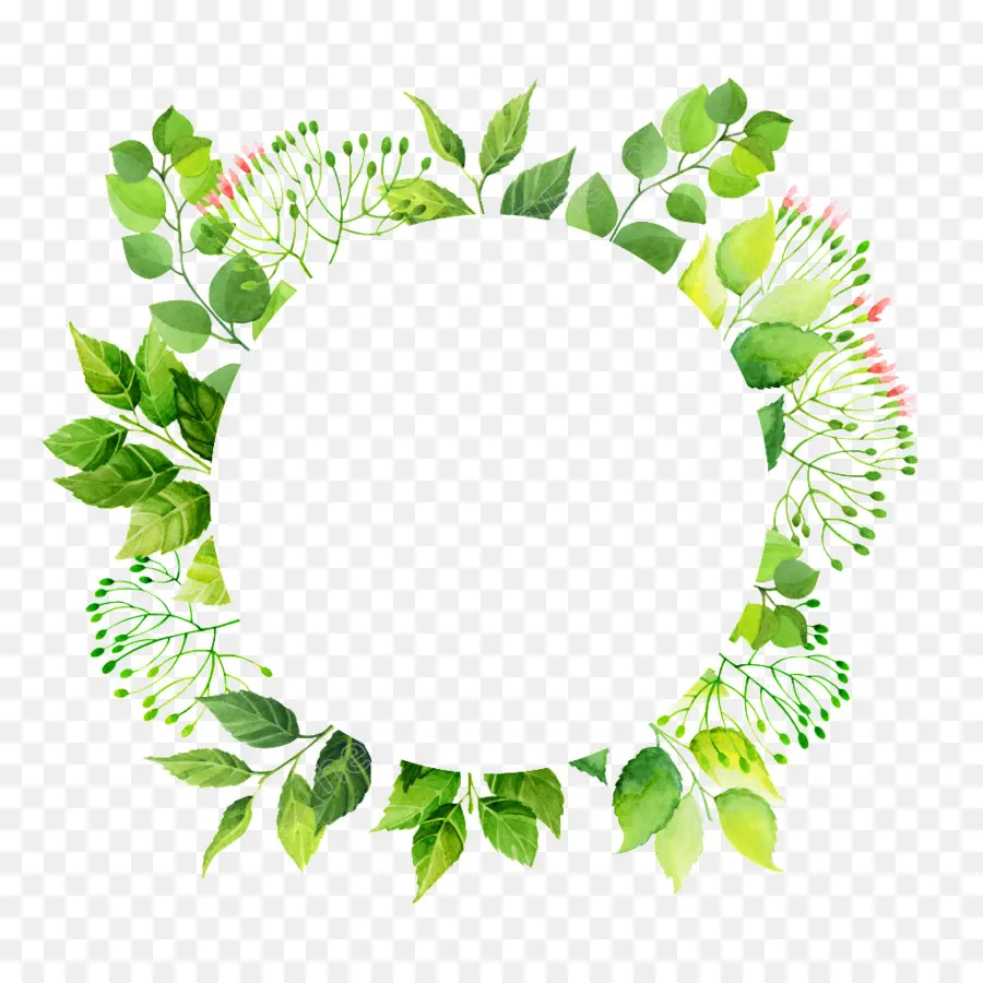 Verde，Círculo PNG