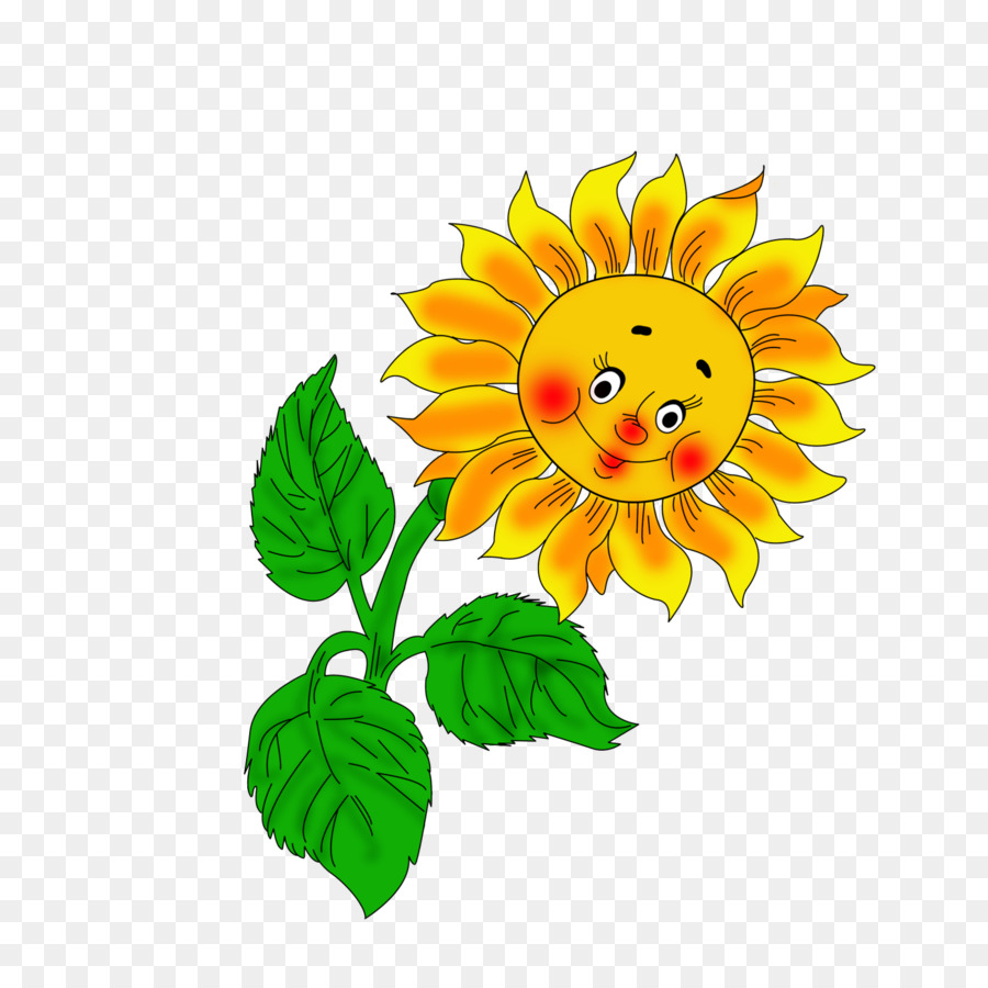 Girasol，Flor PNG