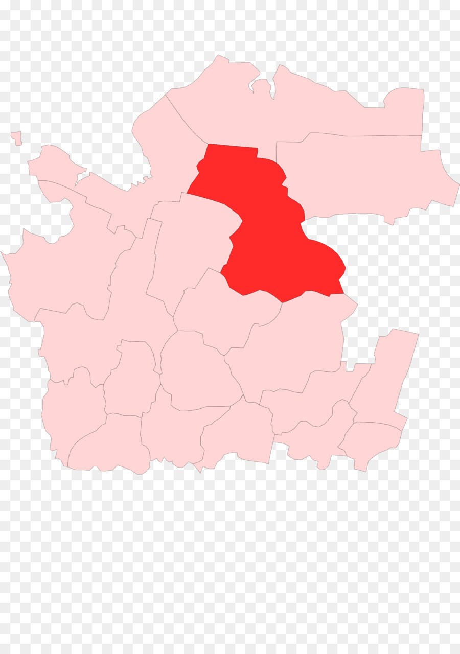 Distrito De Pinezhsky，Mapa PNG