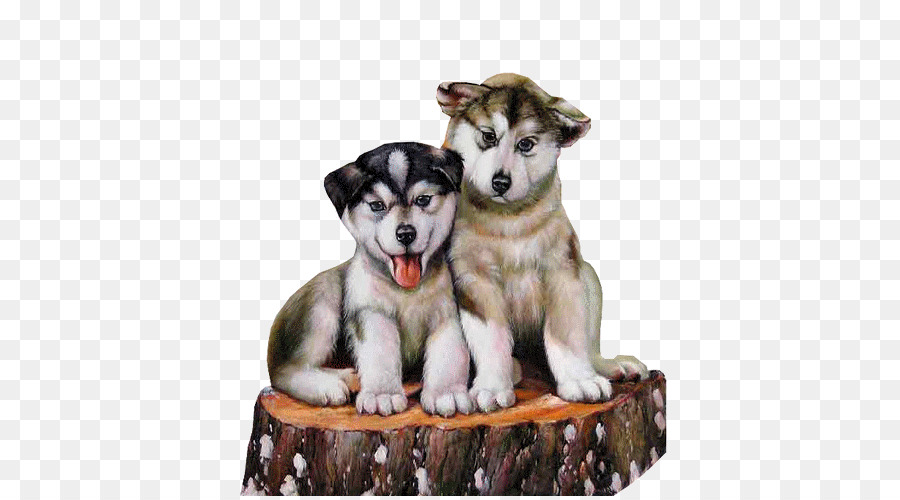 Cachorros，Perros PNG