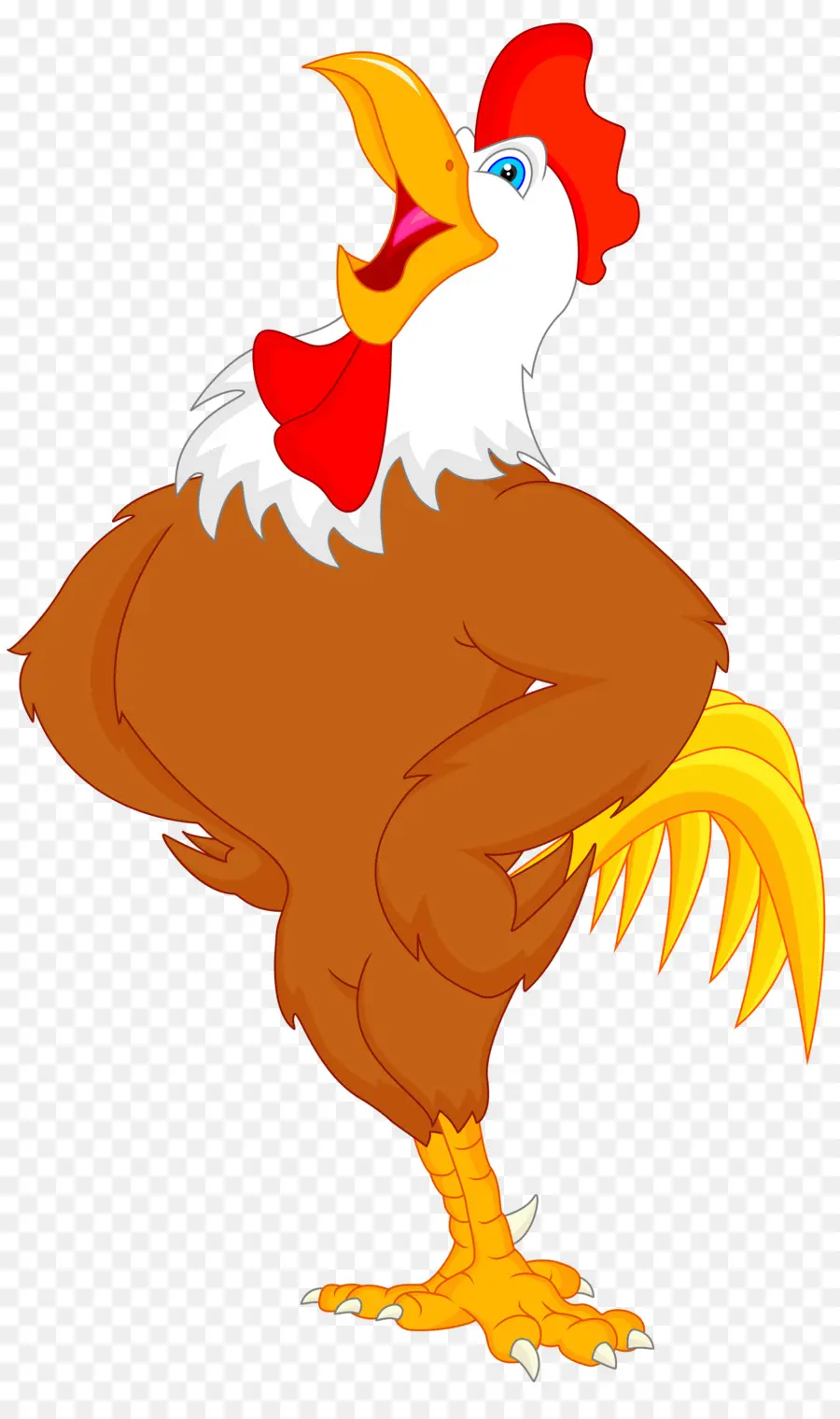 Pollo，Gallo PNG