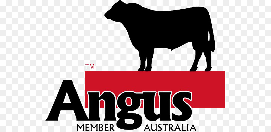 Ganado Angus，Logotipo PNG