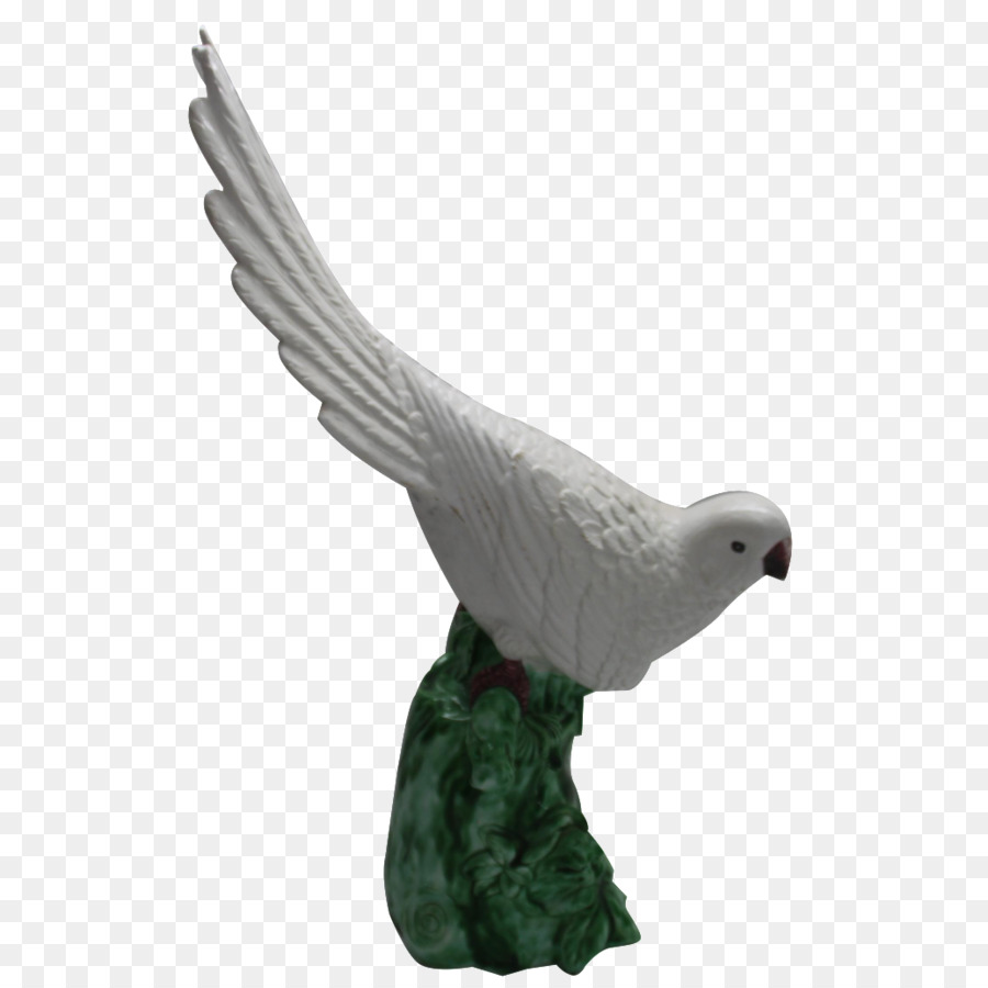 Pico，Aves PNG