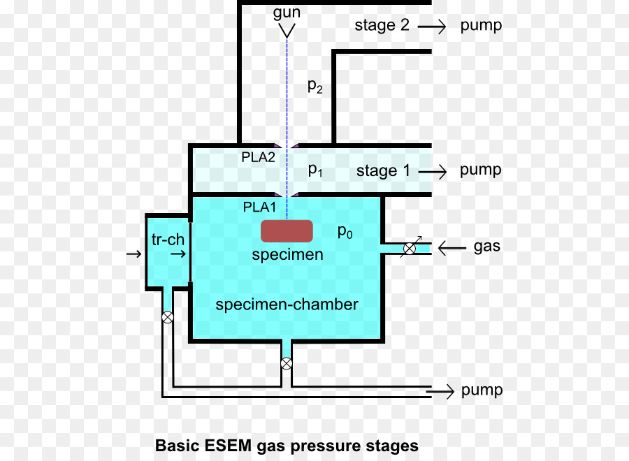 Microscopio Electrónico De Barrido Ambiental，Microscópio Electrónico Escaneando PNG