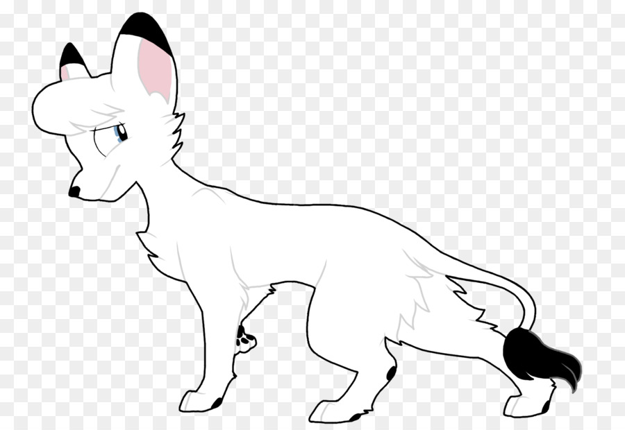 Gato，Blanco PNG