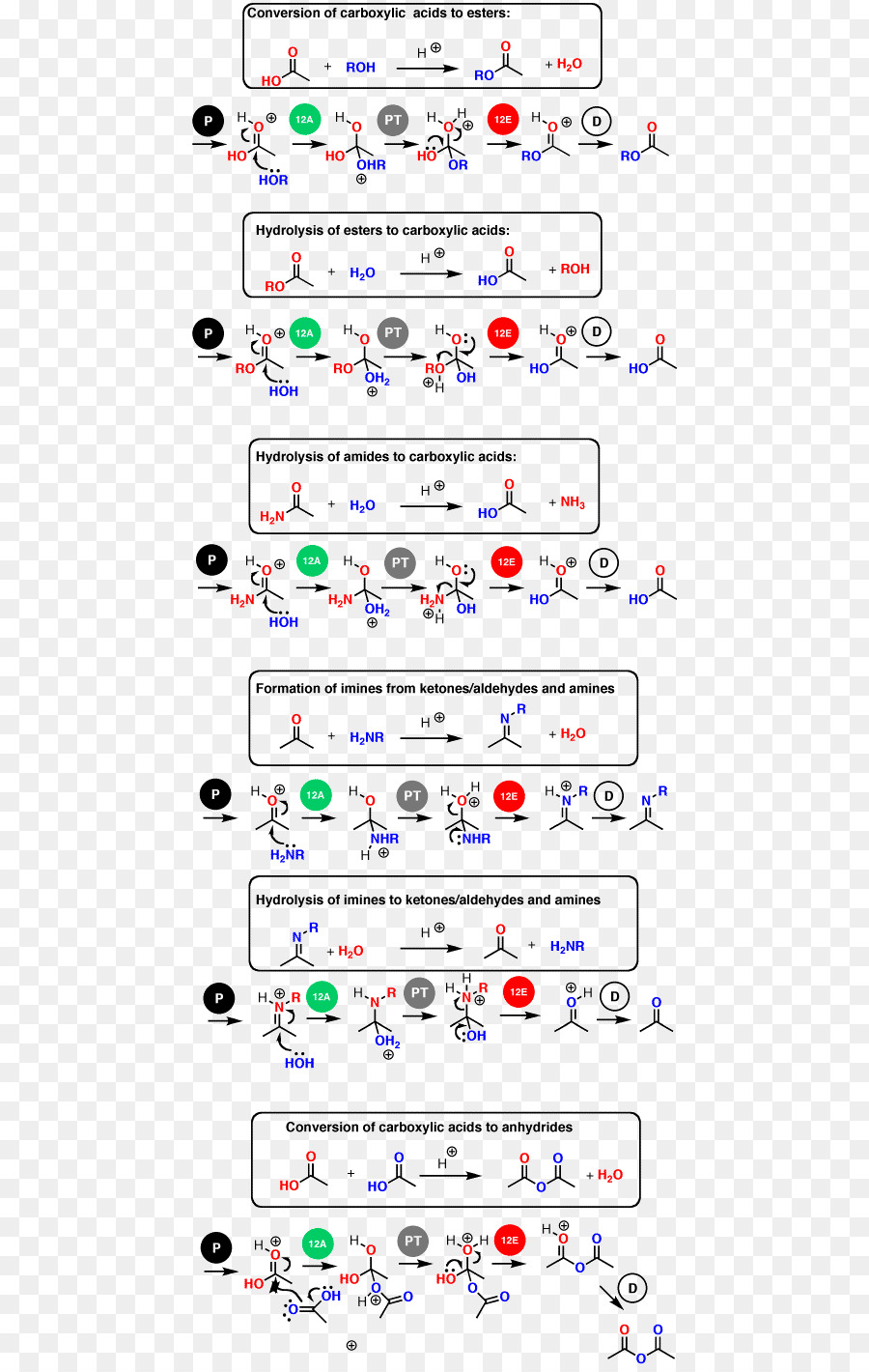 Química Orgánica，Reacción Química PNG