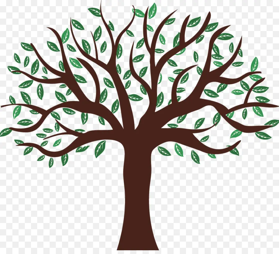 Árbol，Hojas PNG