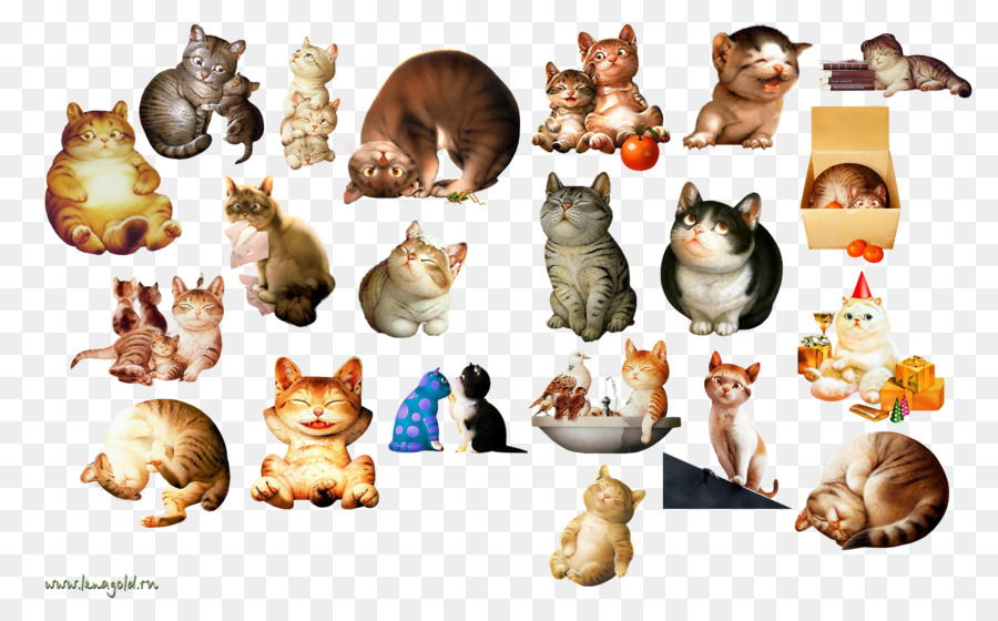 Gatito，Gato PNG