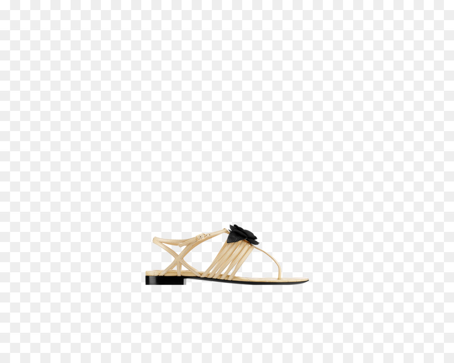 Chancletas，Zapato PNG