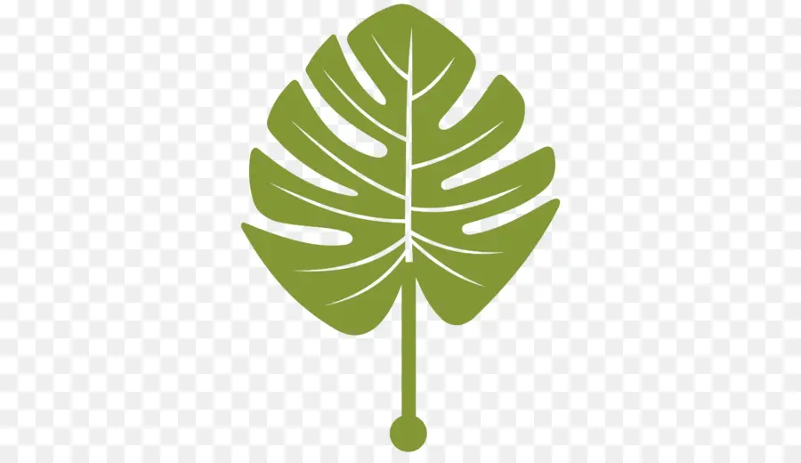 Hoja De Monstera，Planta PNG