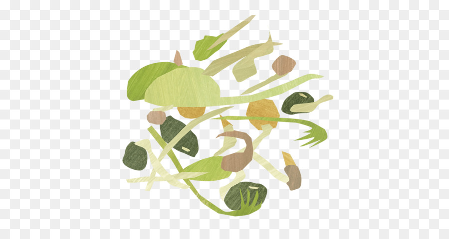 Hoja，Tallo De La Planta PNG