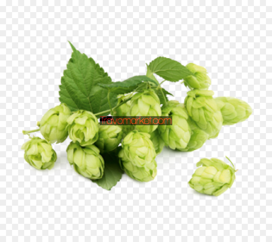 La Cerveza，Ale PNG