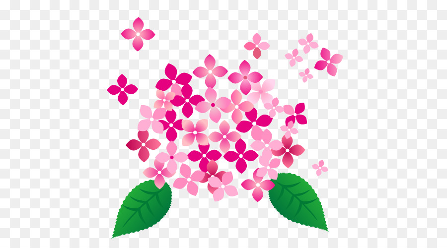 French Hydrangea，Papel PNG