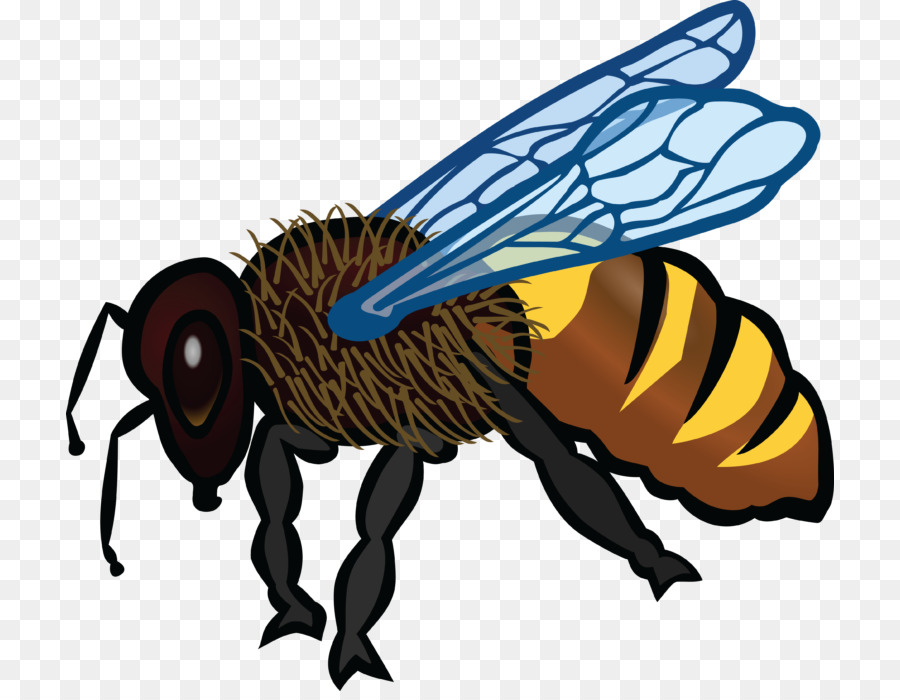 Abeja，Insecto PNG