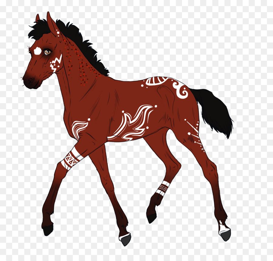 Caballo，Equino PNG