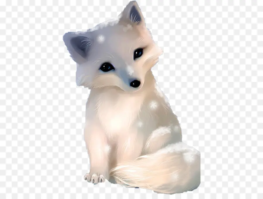 Zorro ártico，Cachorro PNG