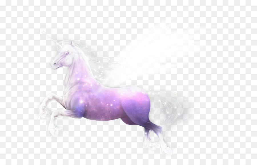 Unicornio，Mustang PNG