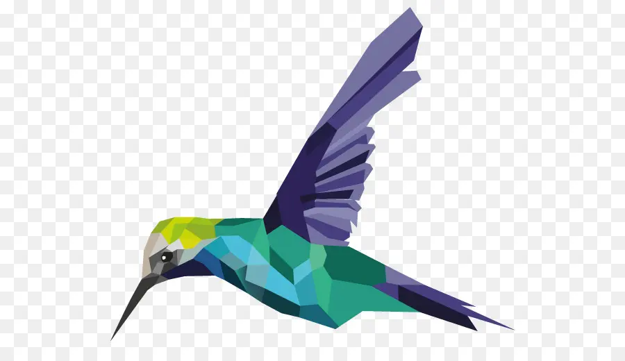 Colibrí，Pluma PNG